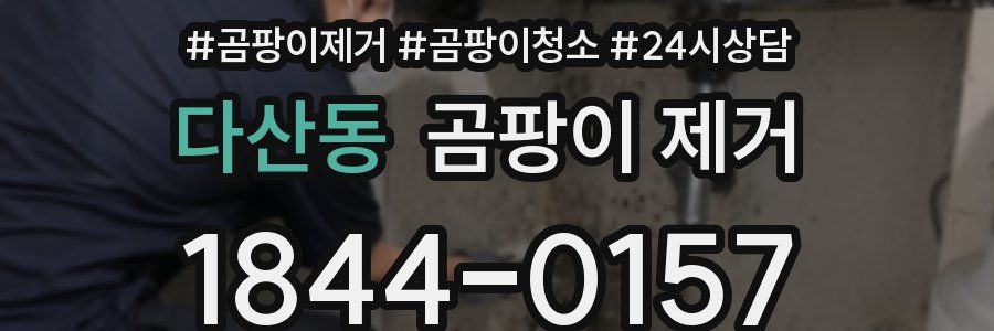 다산동 곰팡이 제거