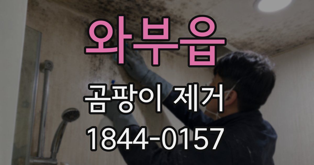 와부읍 곰팡이 제거