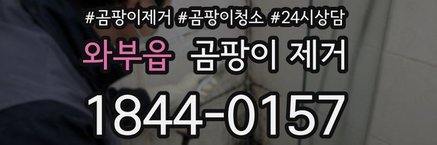 와부읍 곰팡이 제거