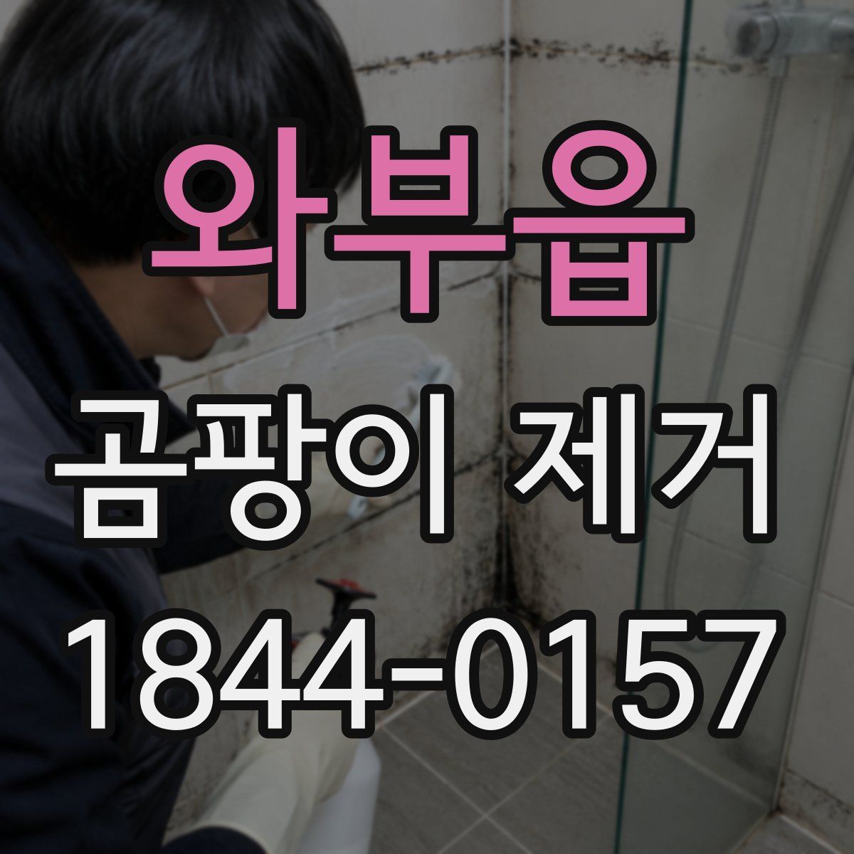 와부읍 곰팡이 제거