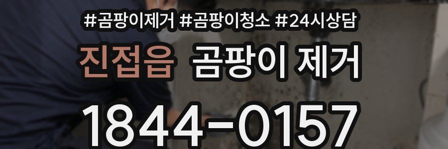 진접읍 곰팡이 제거