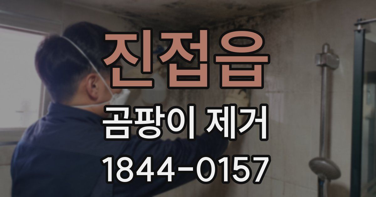 진접읍 곰팡이 제거