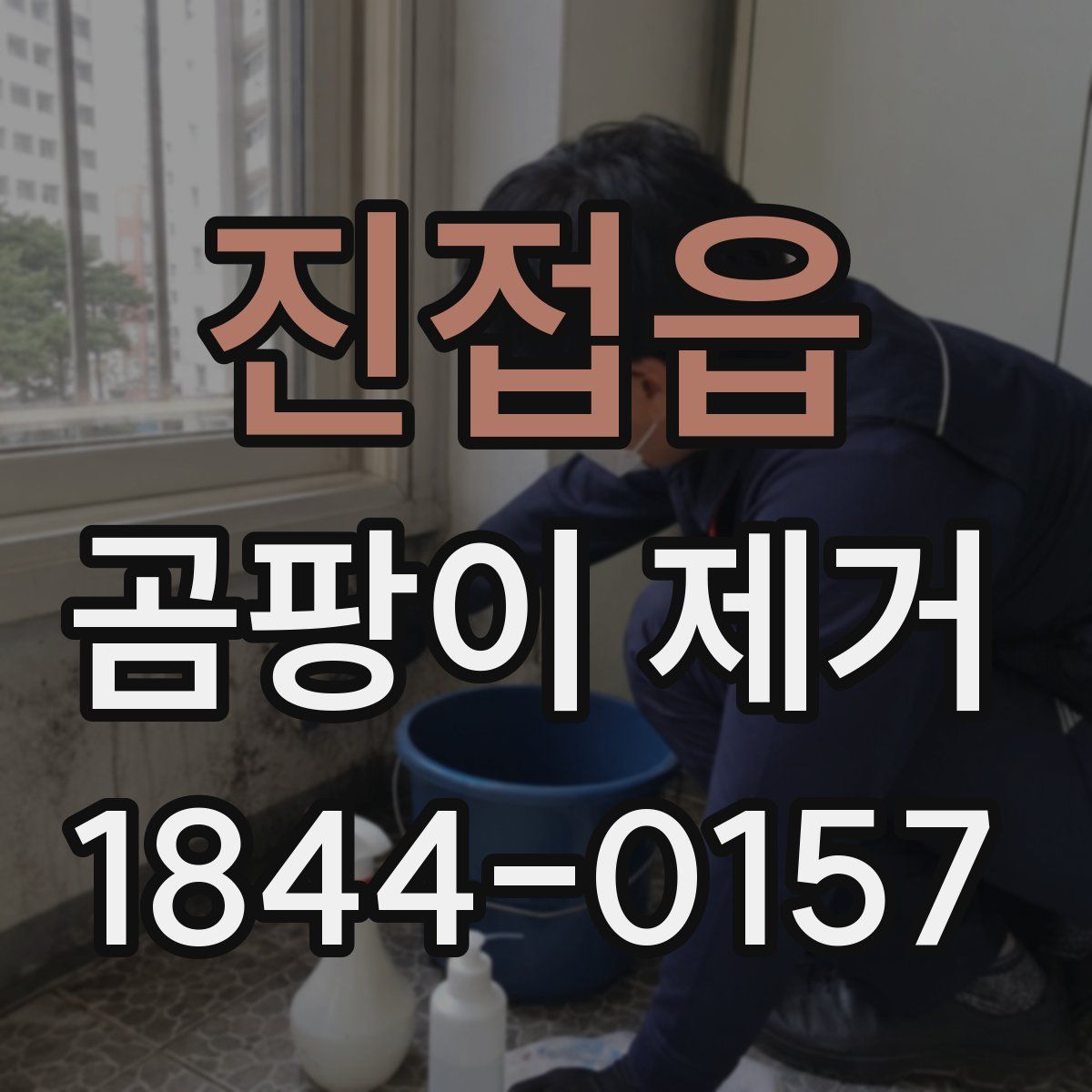 진접읍 곰팡이 제거