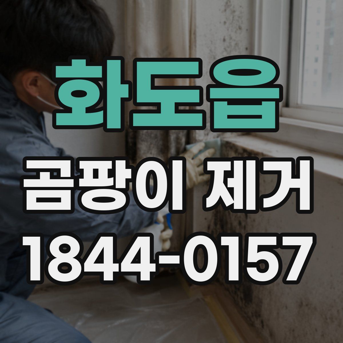 화도읍 곰팡이 제거