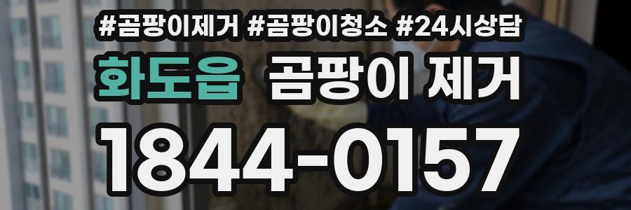 화도읍 곰팡이 제거