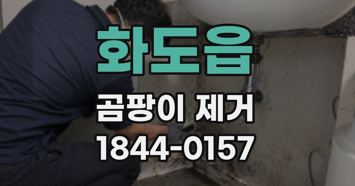 화도읍 곰팡이 제거
