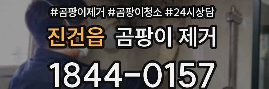 진건읍 곰팡이 제거