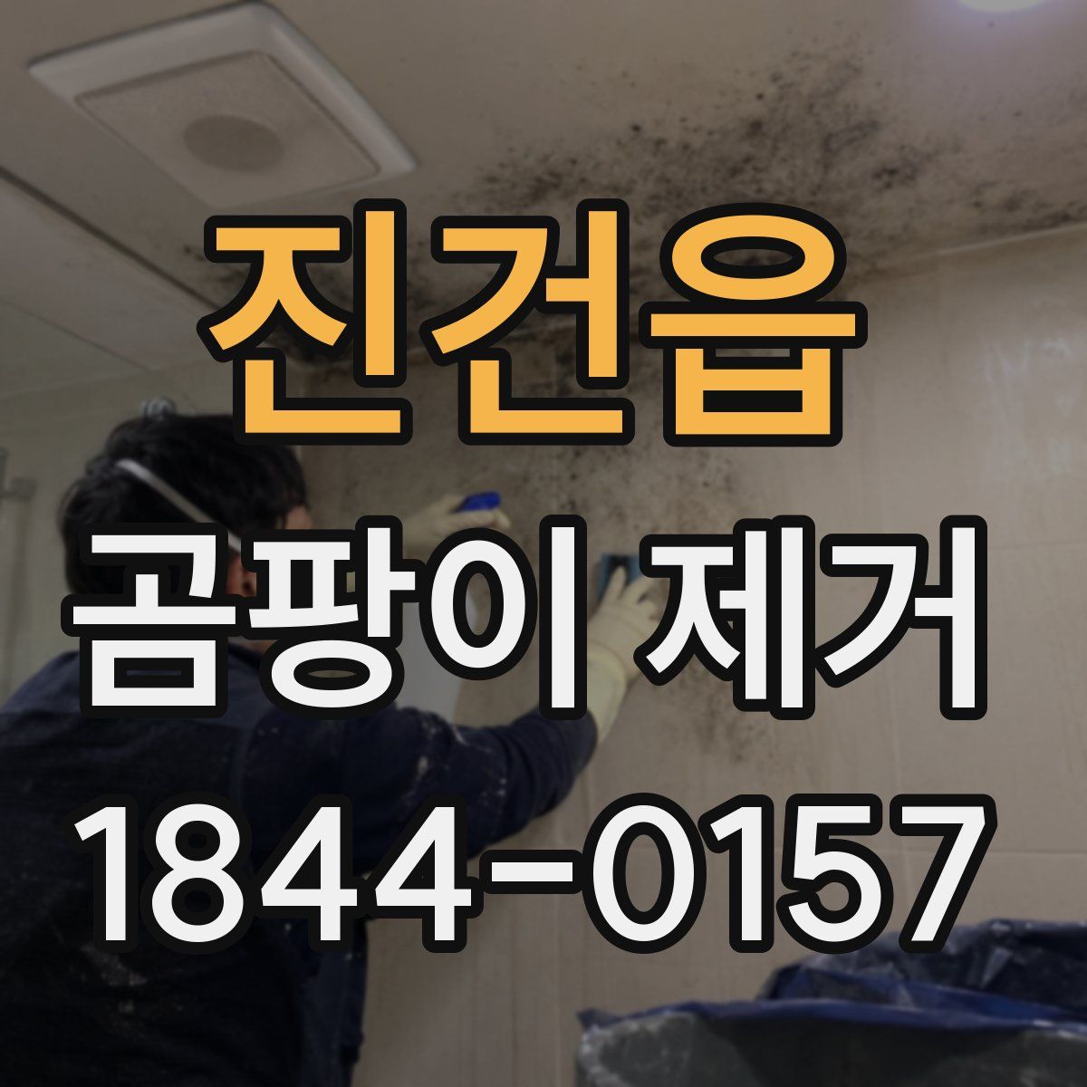 진건읍 곰팡이 제거