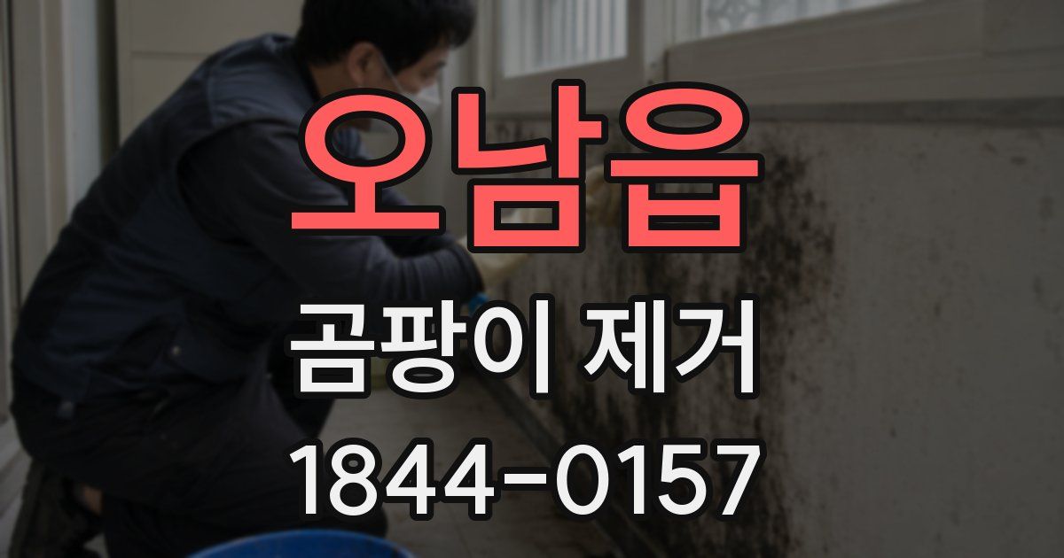 오남읍 곰팡이 제거