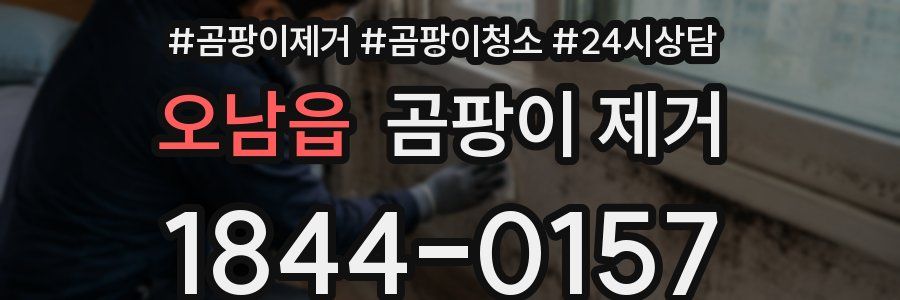 오남읍 곰팡이 제거
