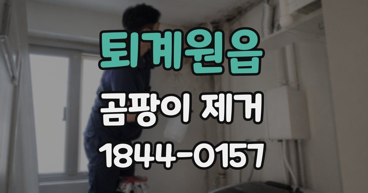퇴계원읍 곰팡이 제거