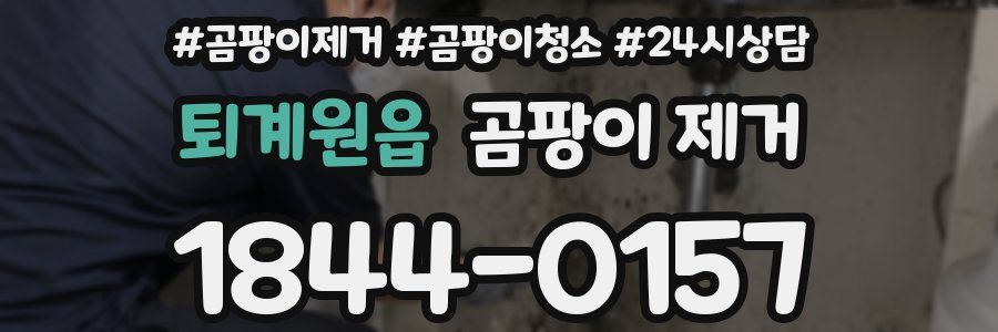퇴계원읍 곰팡이 제거