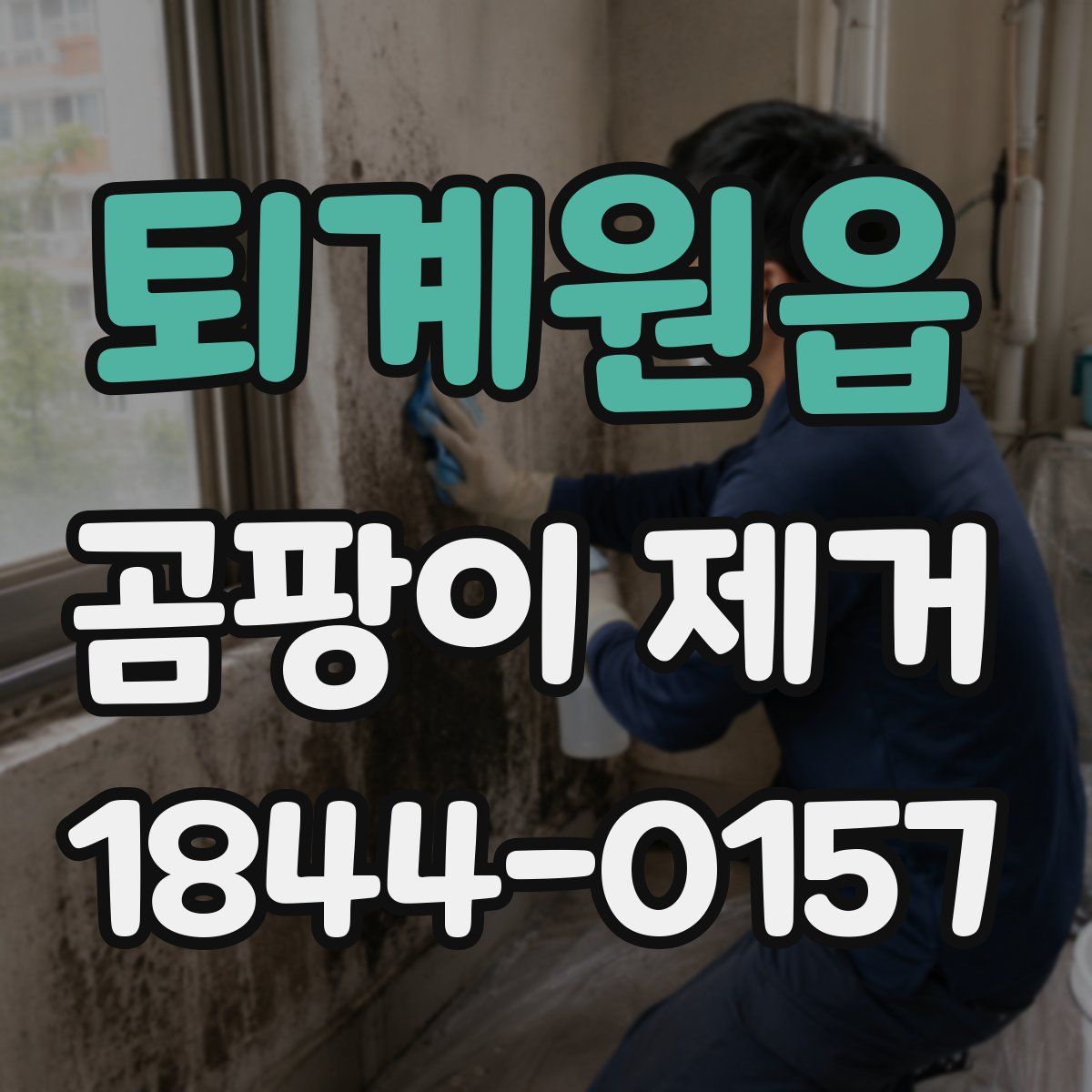 퇴계원읍 곰팡이 제거