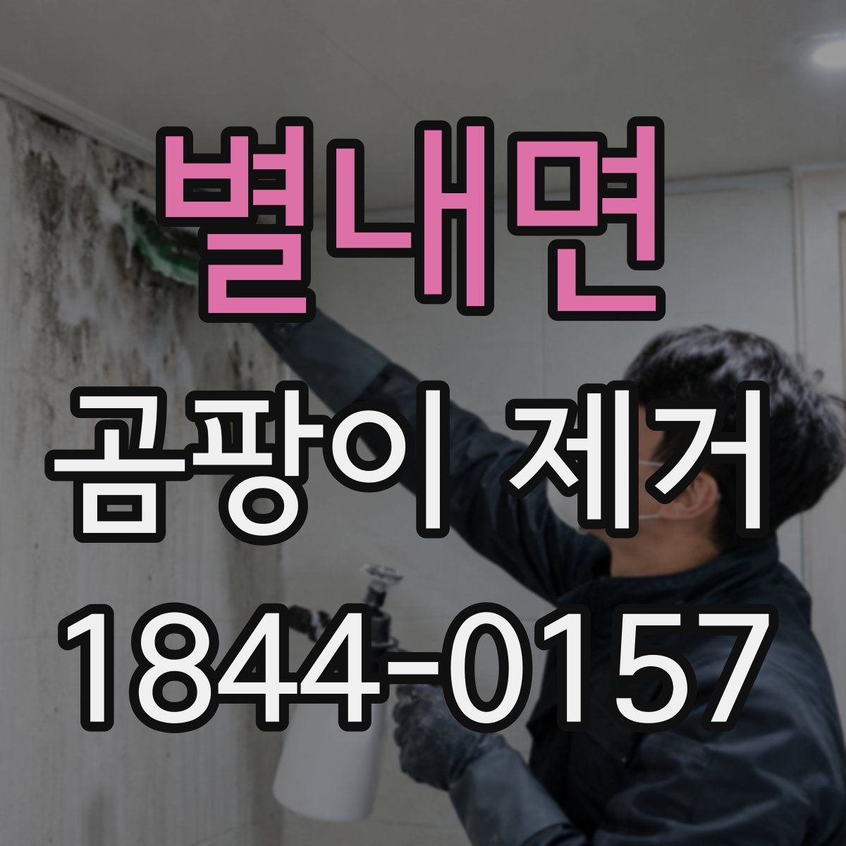 별내면 곰팡이 제거