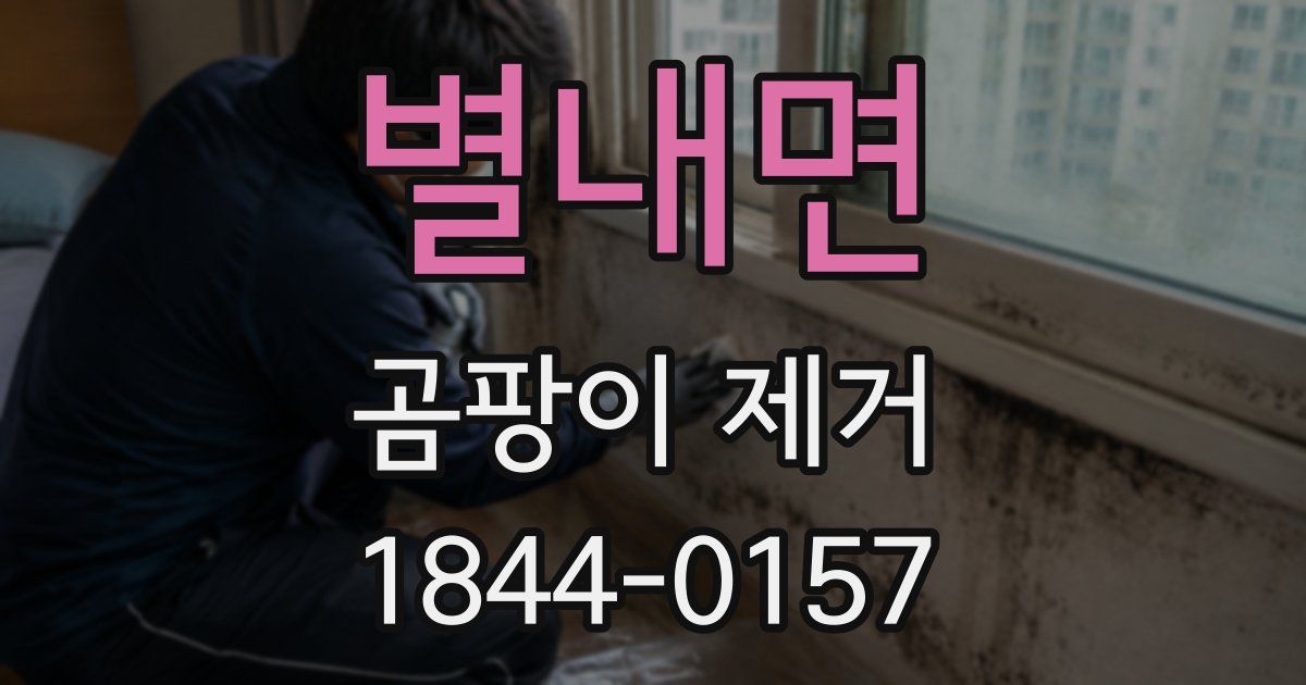 별내면 곰팡이 제거
