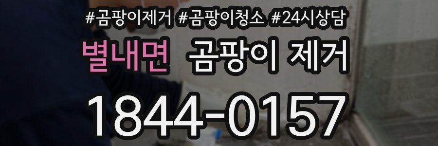 별내면 곰팡이 제거
