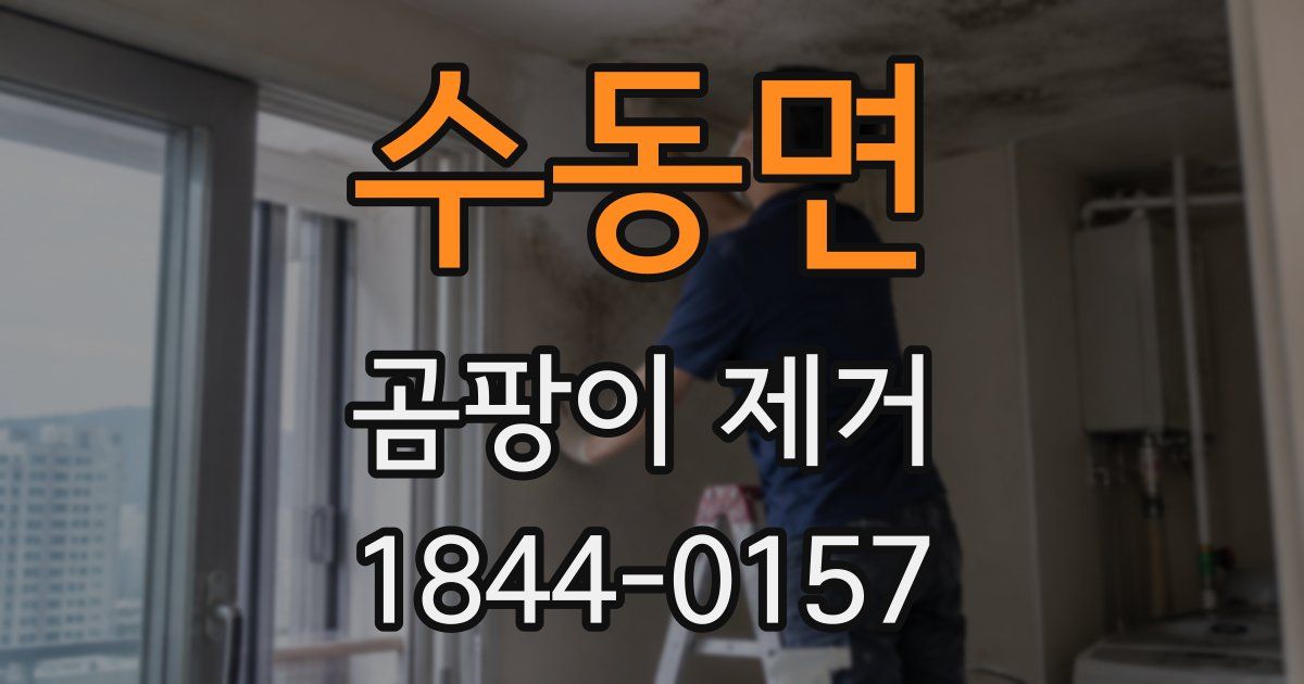 수동면 곰팡이 제거