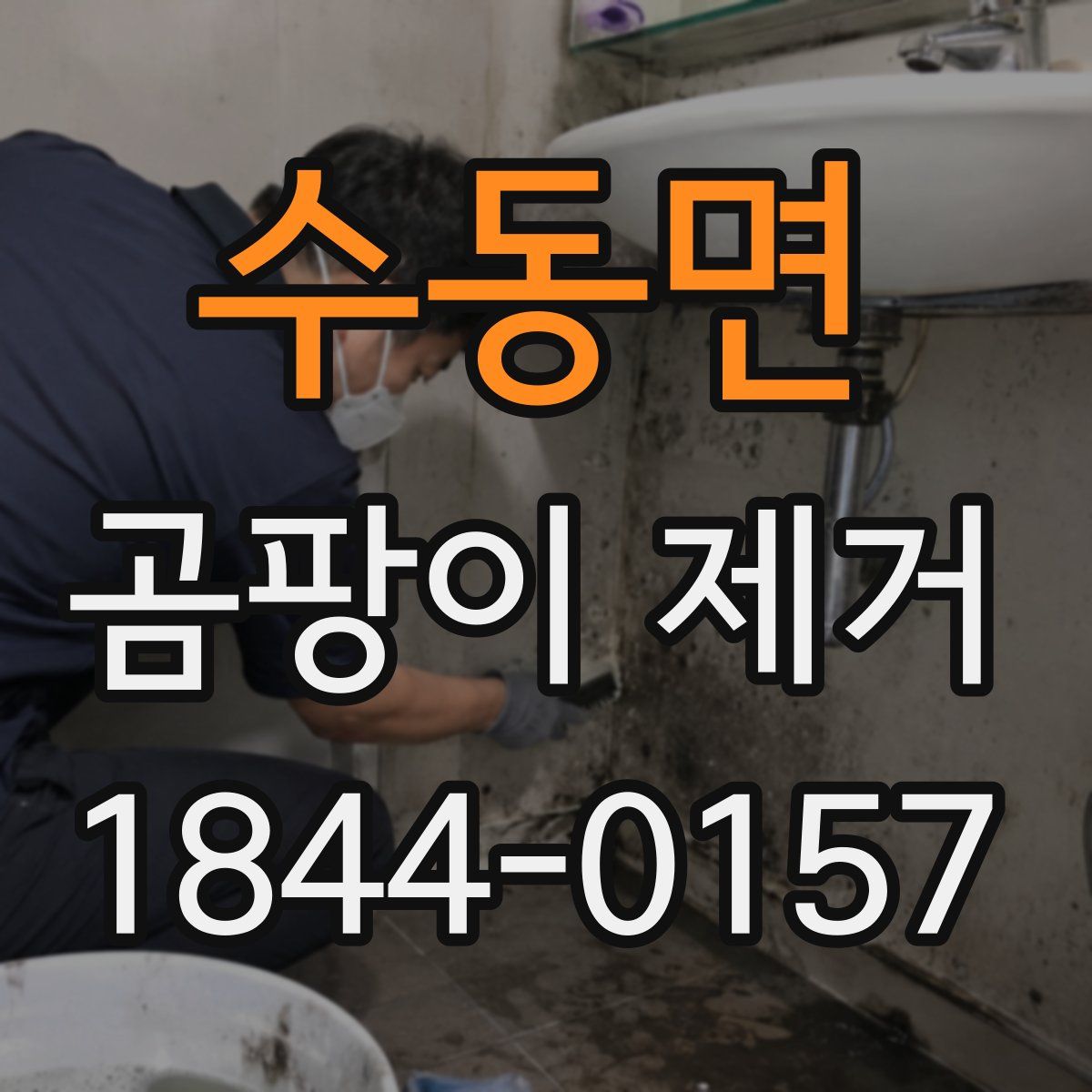 수동면 곰팡이 제거