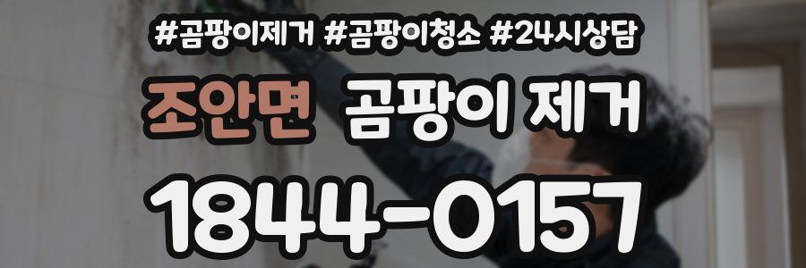 조안면 곰팡이 제거