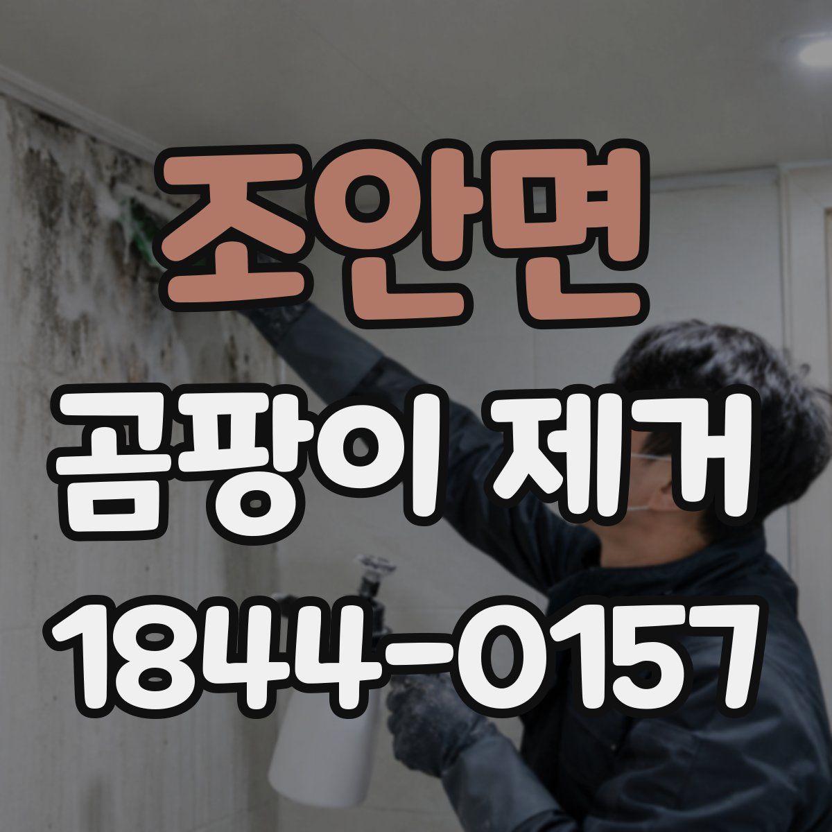 조안면 곰팡이 제거