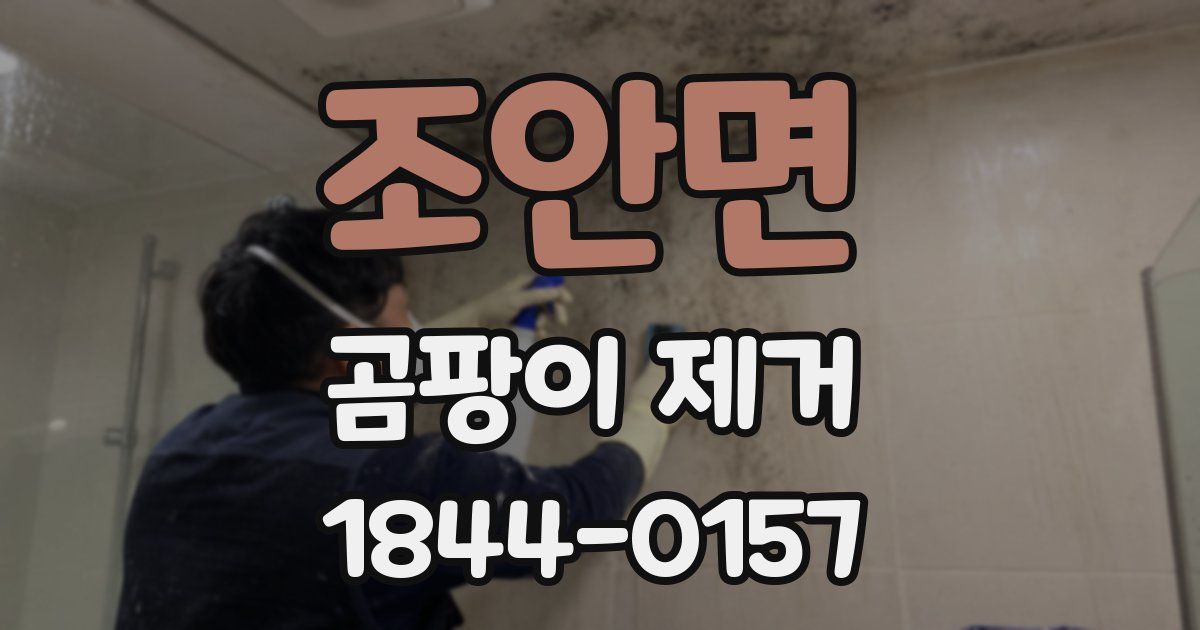 조안면 곰팡이 제거