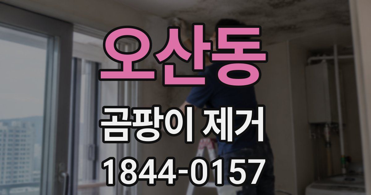 오산동 곰팡이 제거