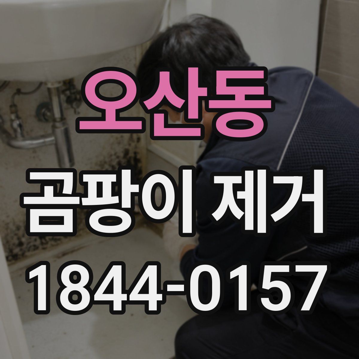 오산동 곰팡이 제거