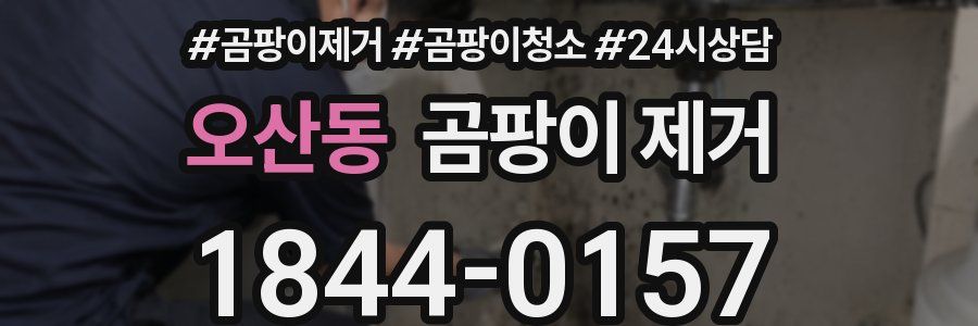 오산동 곰팡이 제거