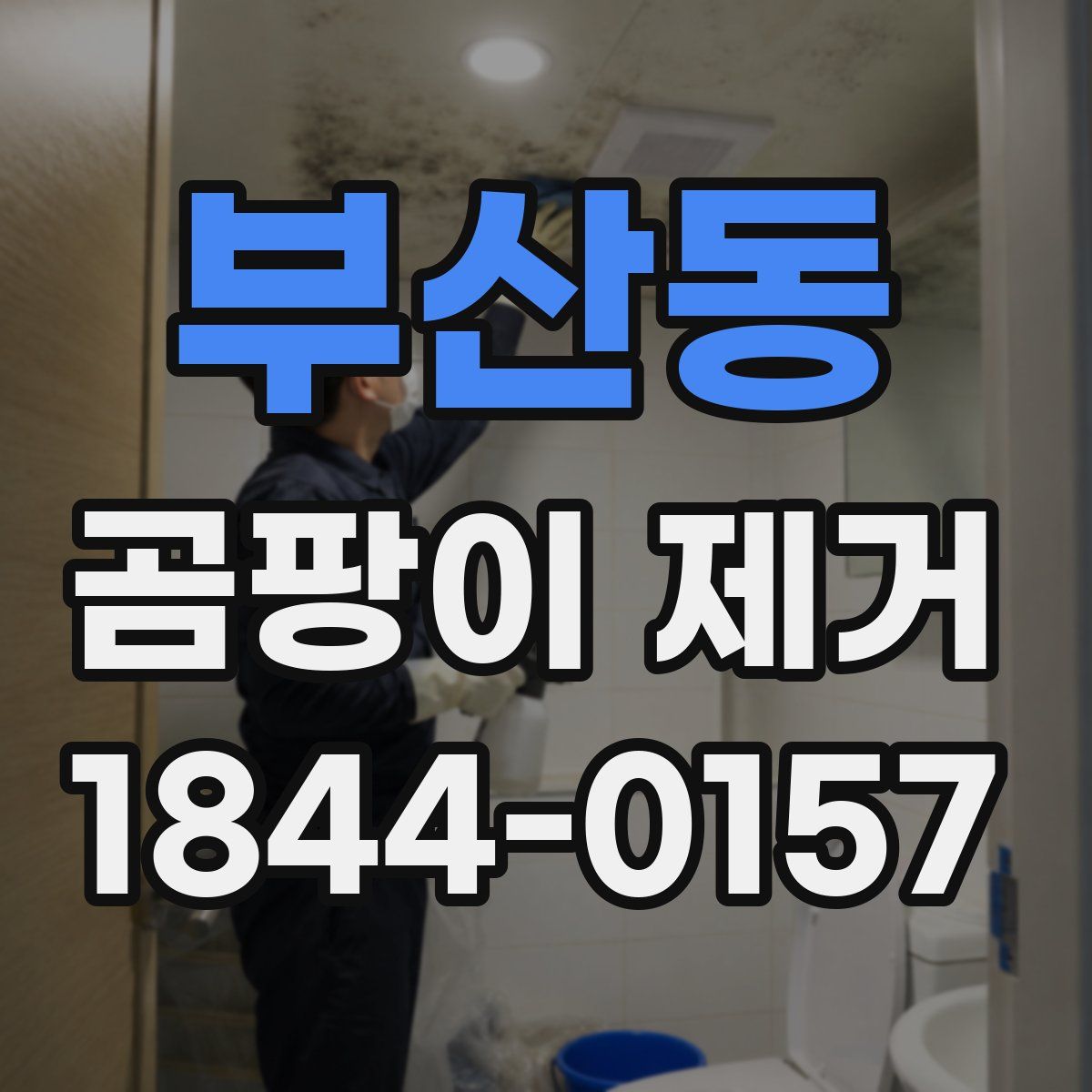 부산동 곰팡이 제거