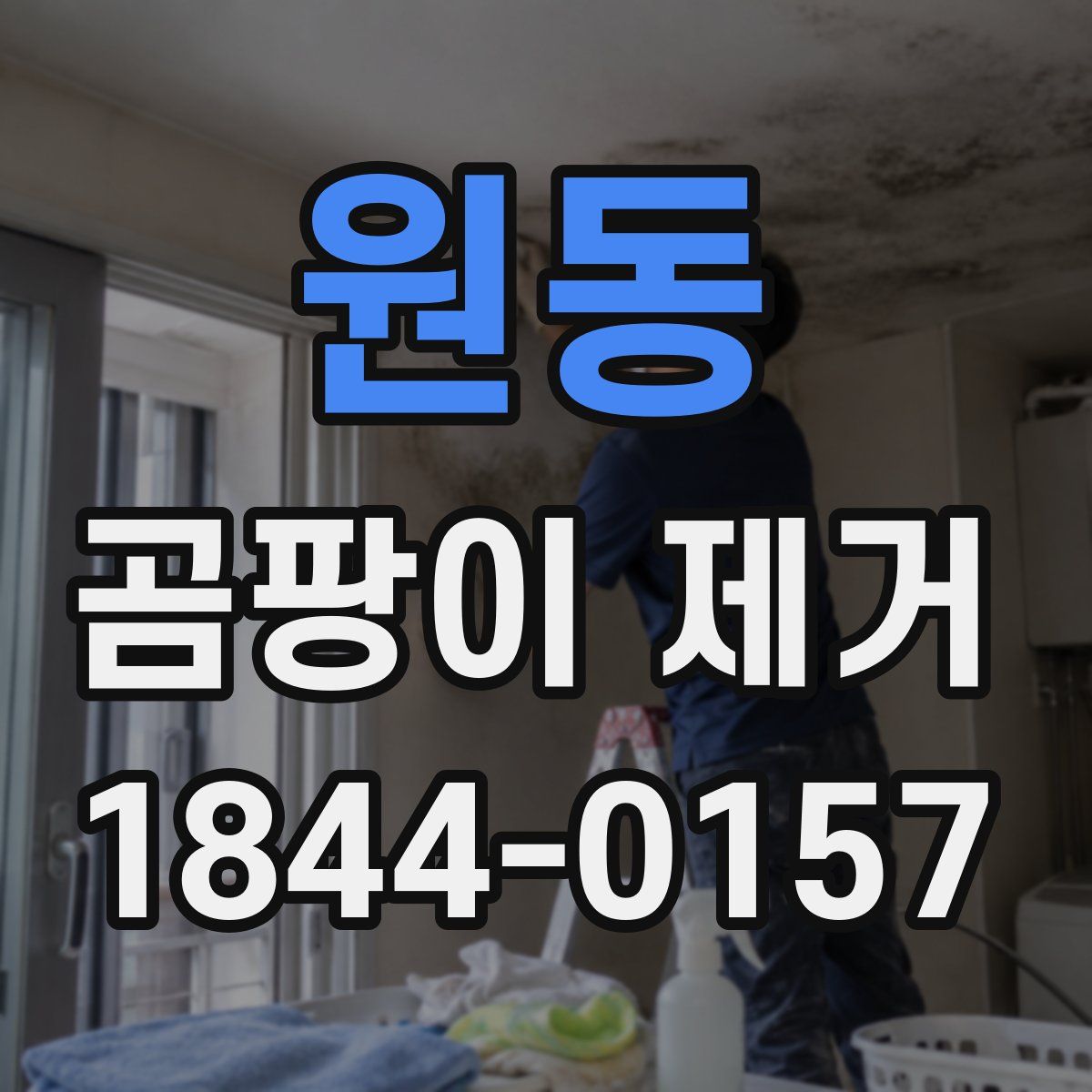 원동 곰팡이 제거