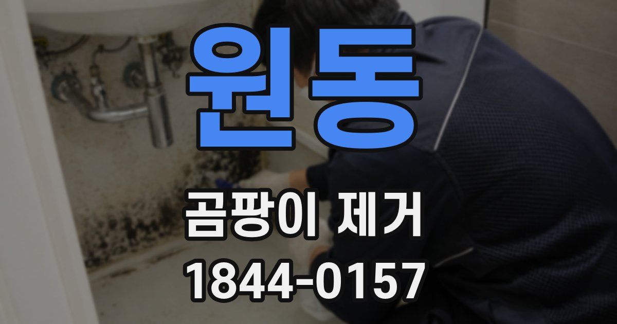 원동 곰팡이 제거