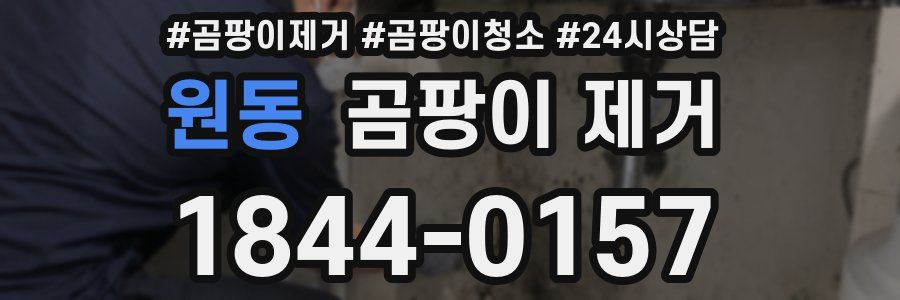 원동 곰팡이 제거