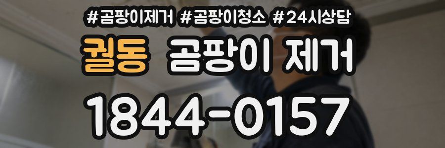 궐동 곰팡이 제거