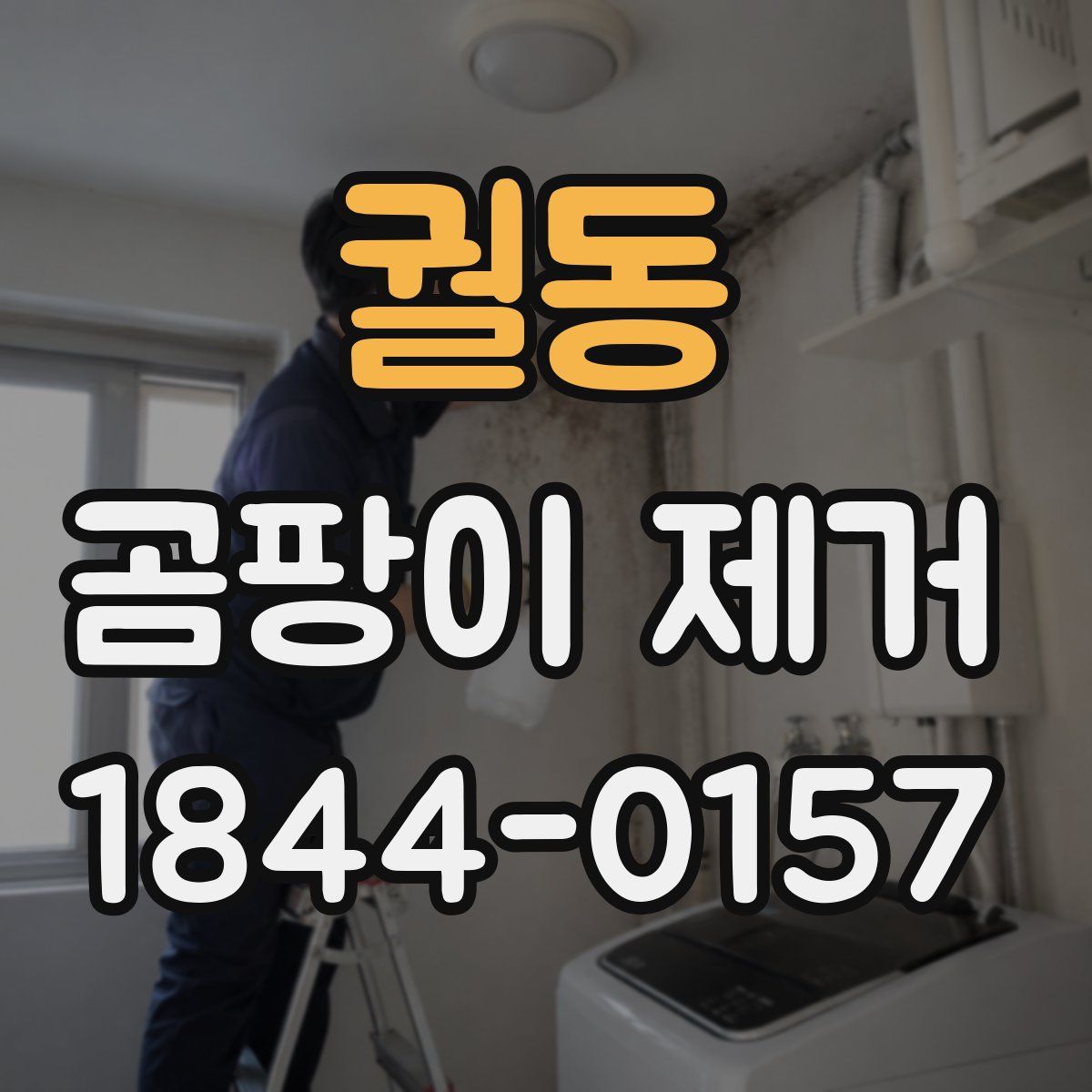 궐동 곰팡이 제거