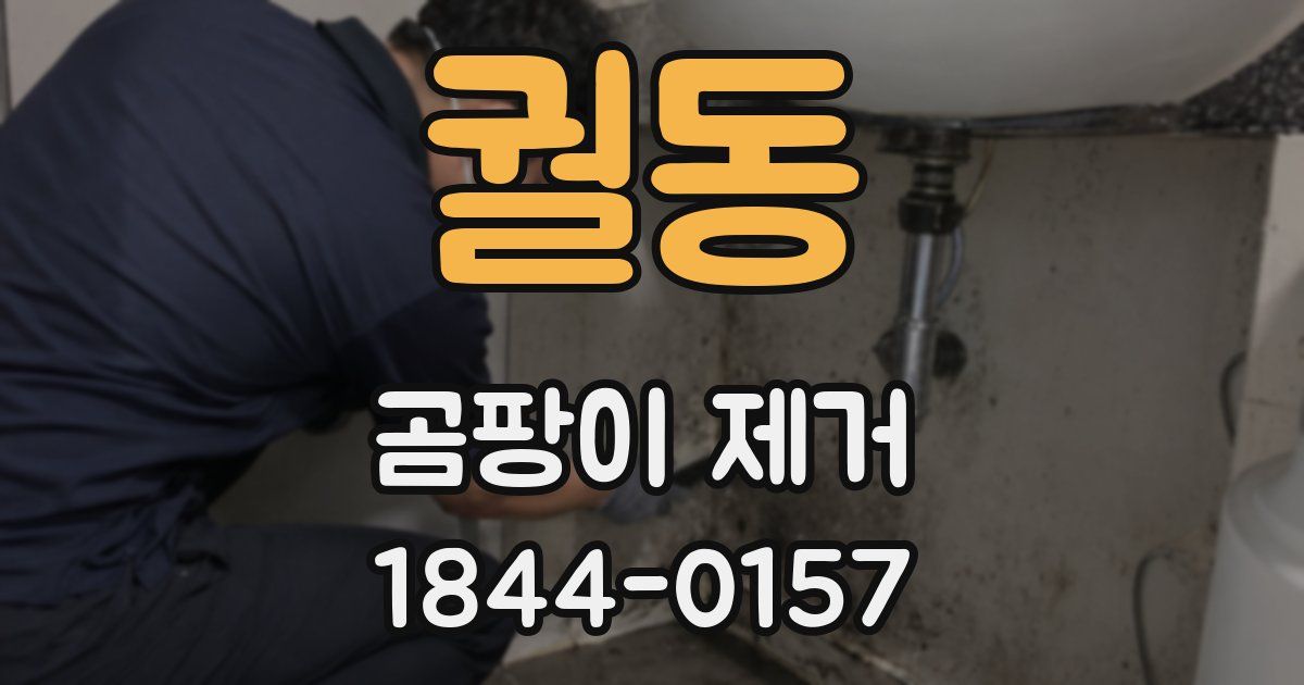 궐동 곰팡이 제거
