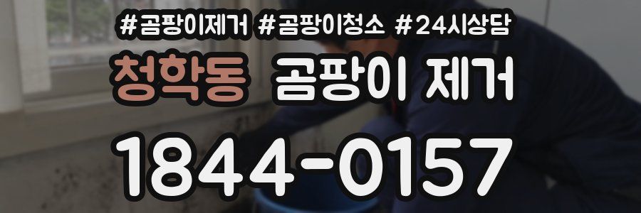 청학동 곰팡이 제거