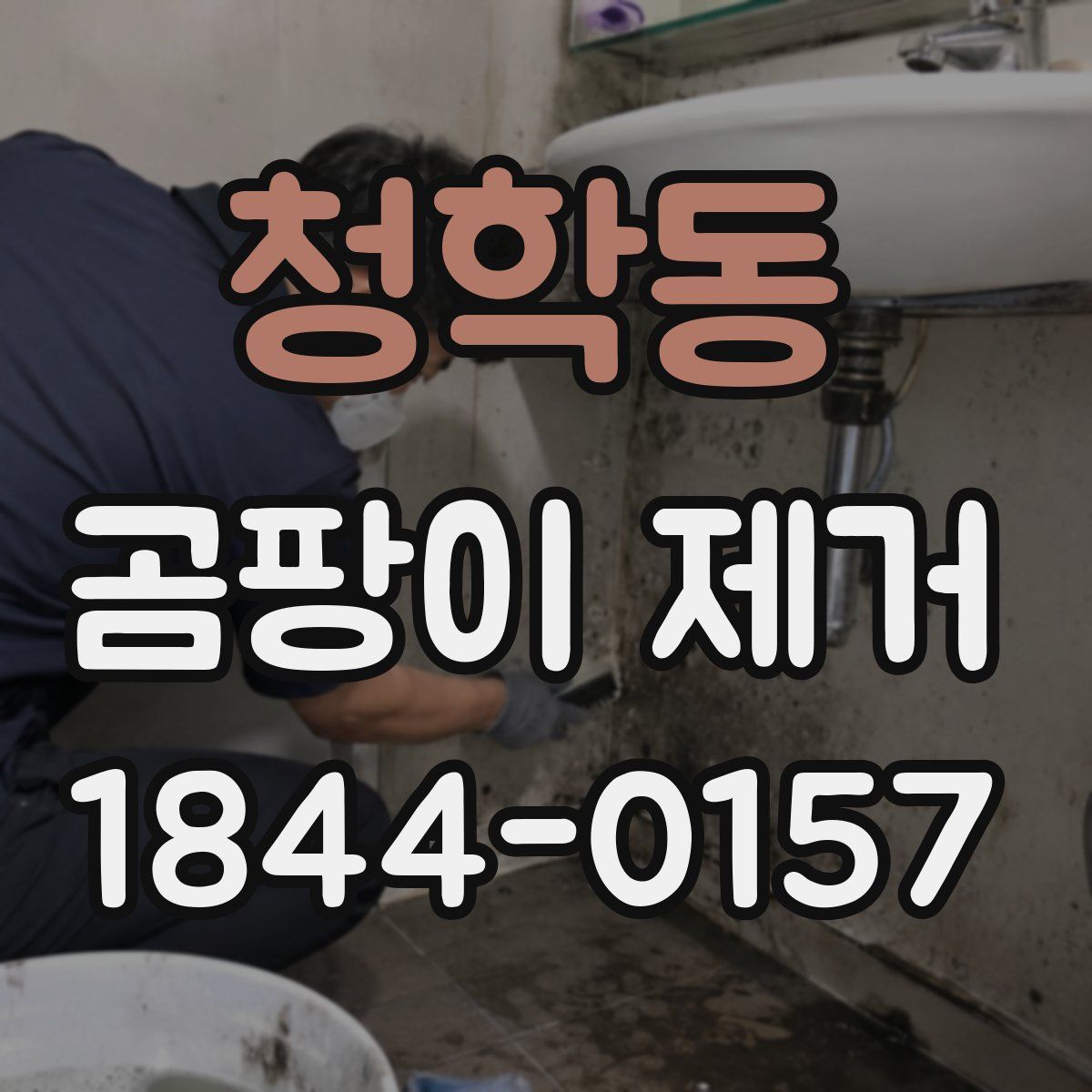 청학동 곰팡이 제거