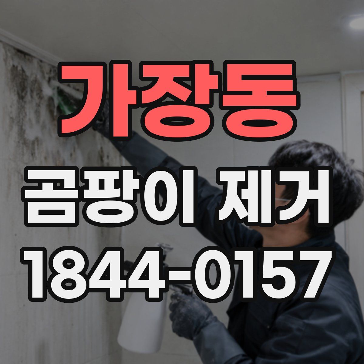 가장동 곰팡이 제거