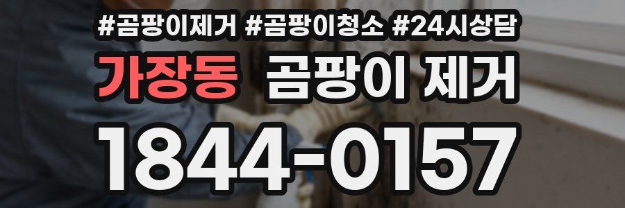 가장동 곰팡이 제거