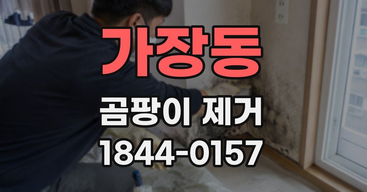 가장동 곰팡이 제거