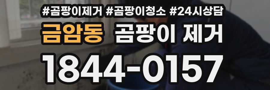 금암동 곰팡이 제거