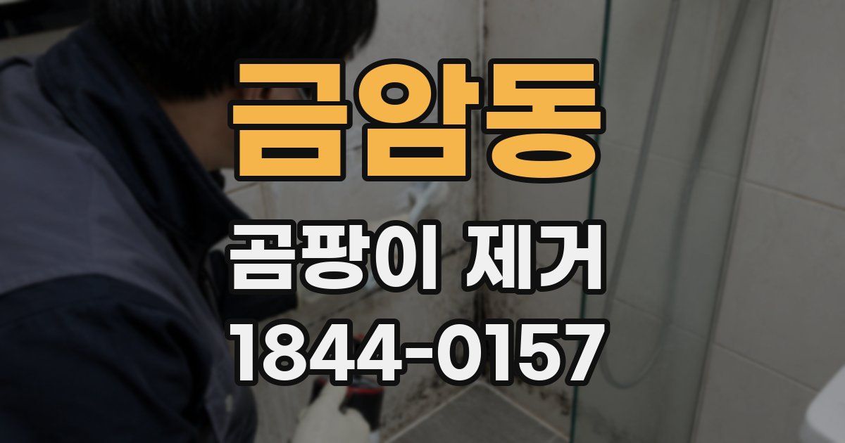 금암동 곰팡이 제거