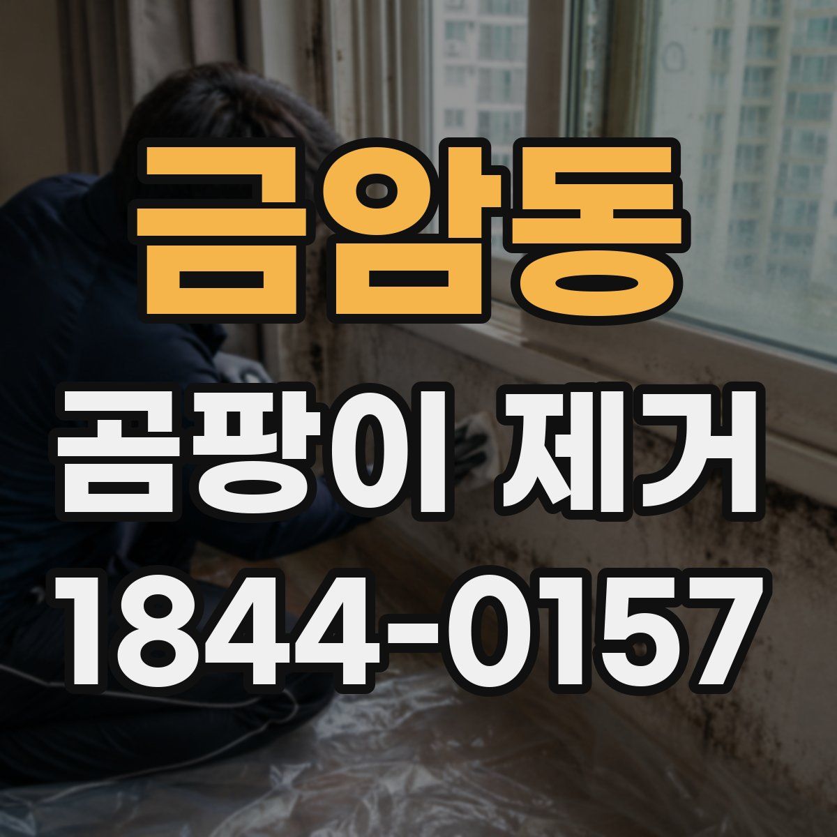 금암동 곰팡이 제거