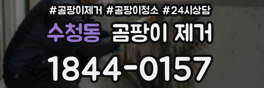 수청동 곰팡이 제거