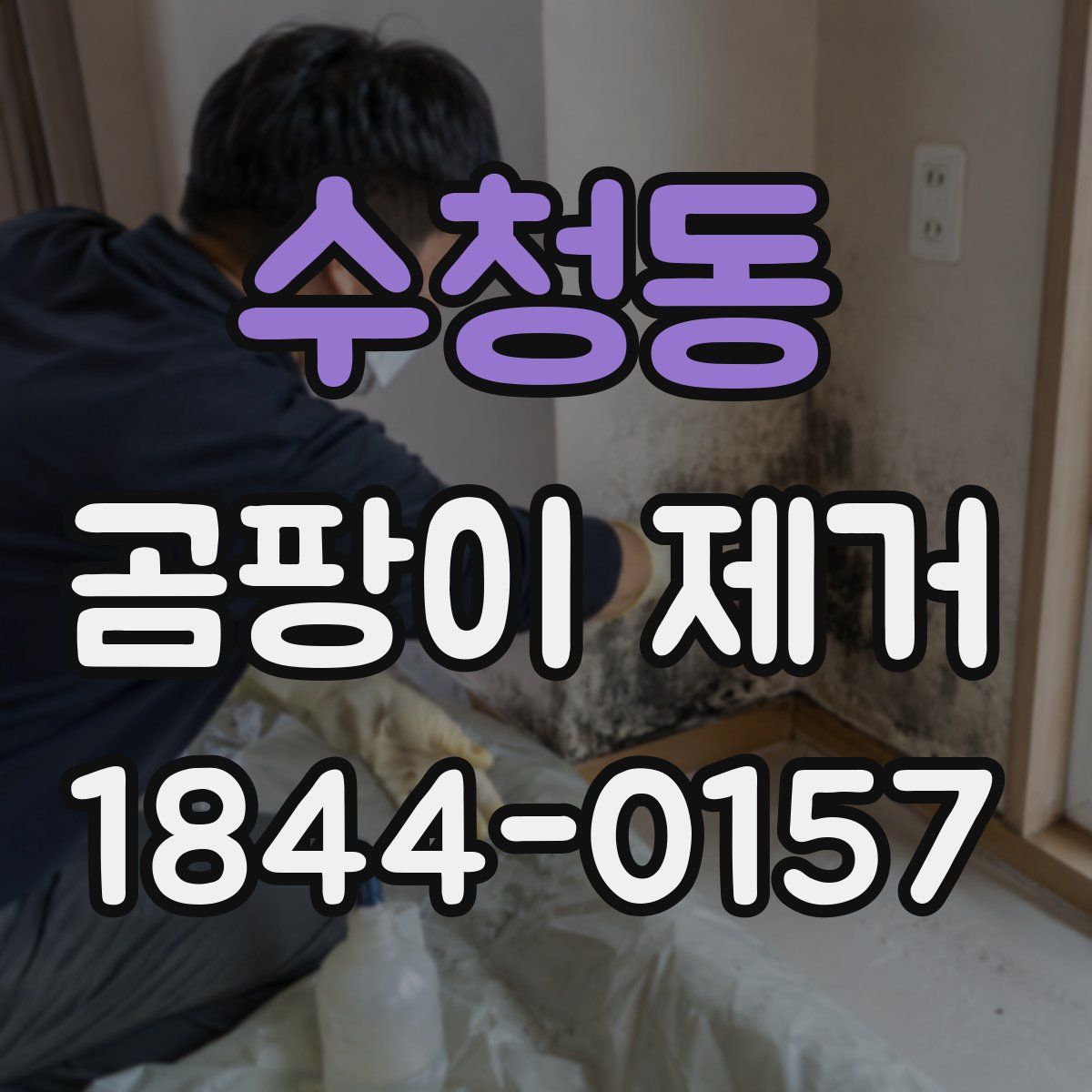 수청동 곰팡이 제거