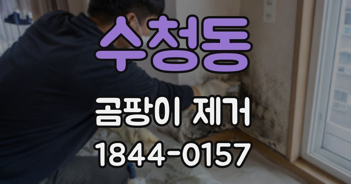 수청동 곰팡이 제거