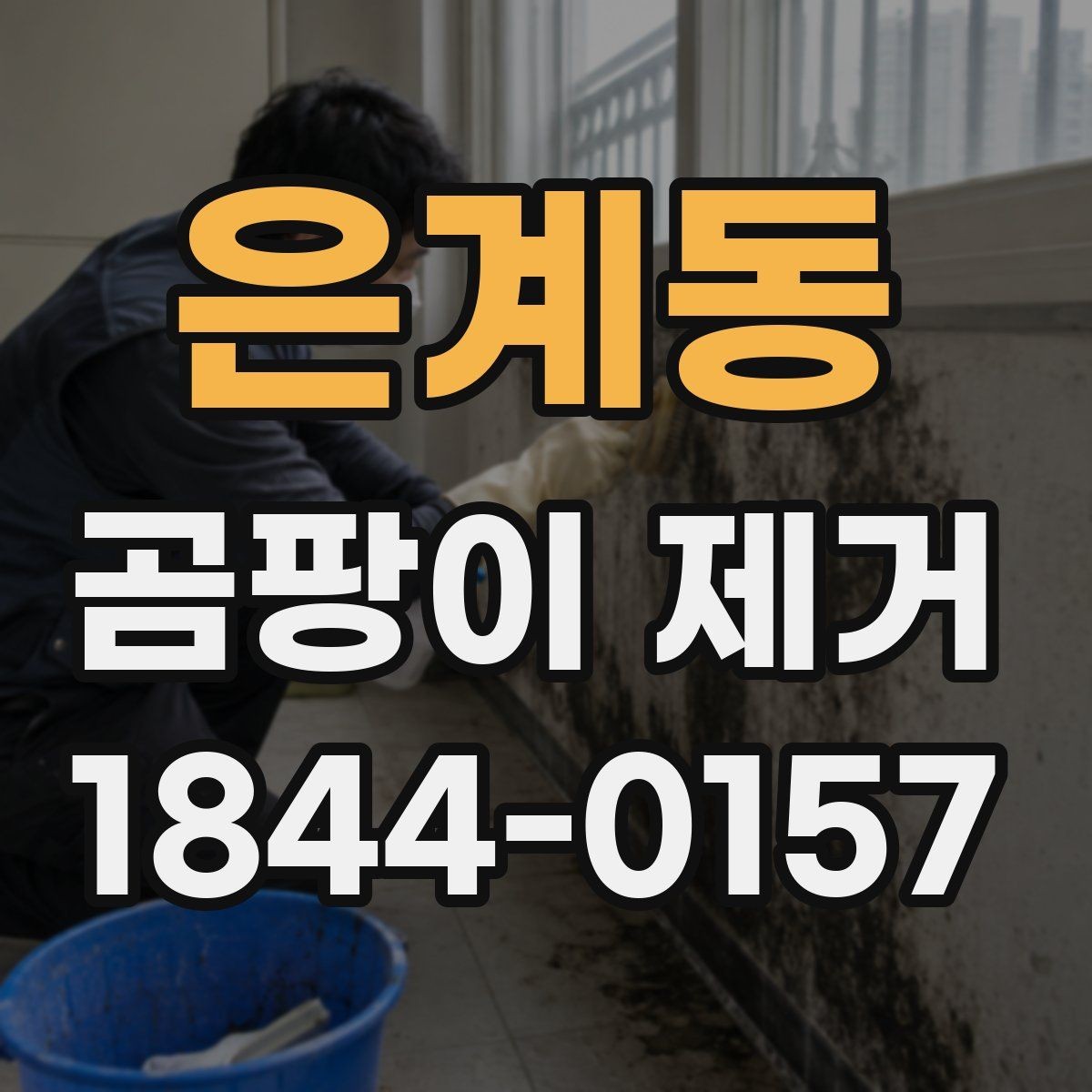 은계동 곰팡이 제거 붙박이장 뒤편 숨은 습기 살펴보기