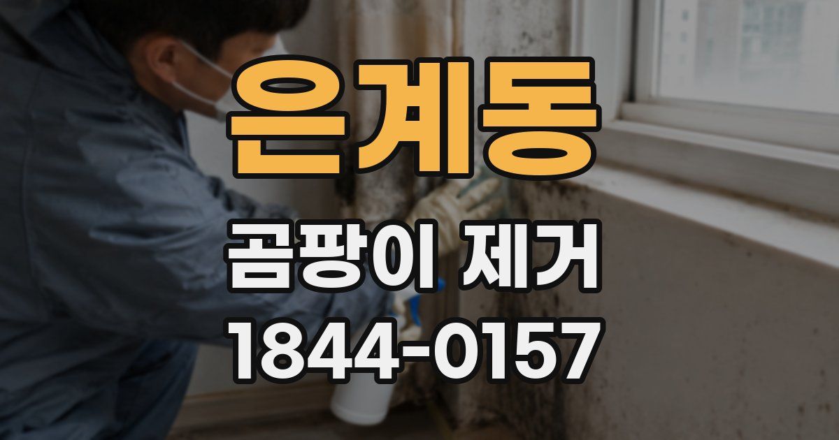 은계동 곰팡이 제거