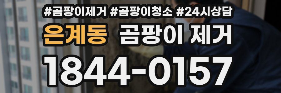 은계동 곰팡이 제거