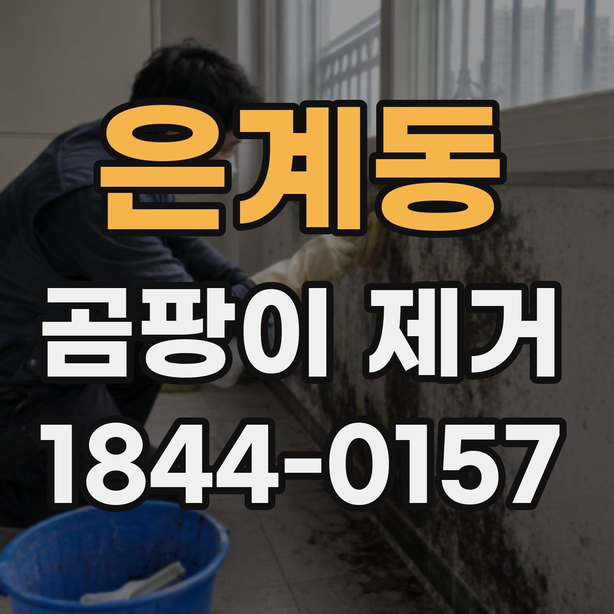 은계동 곰팡이 제거